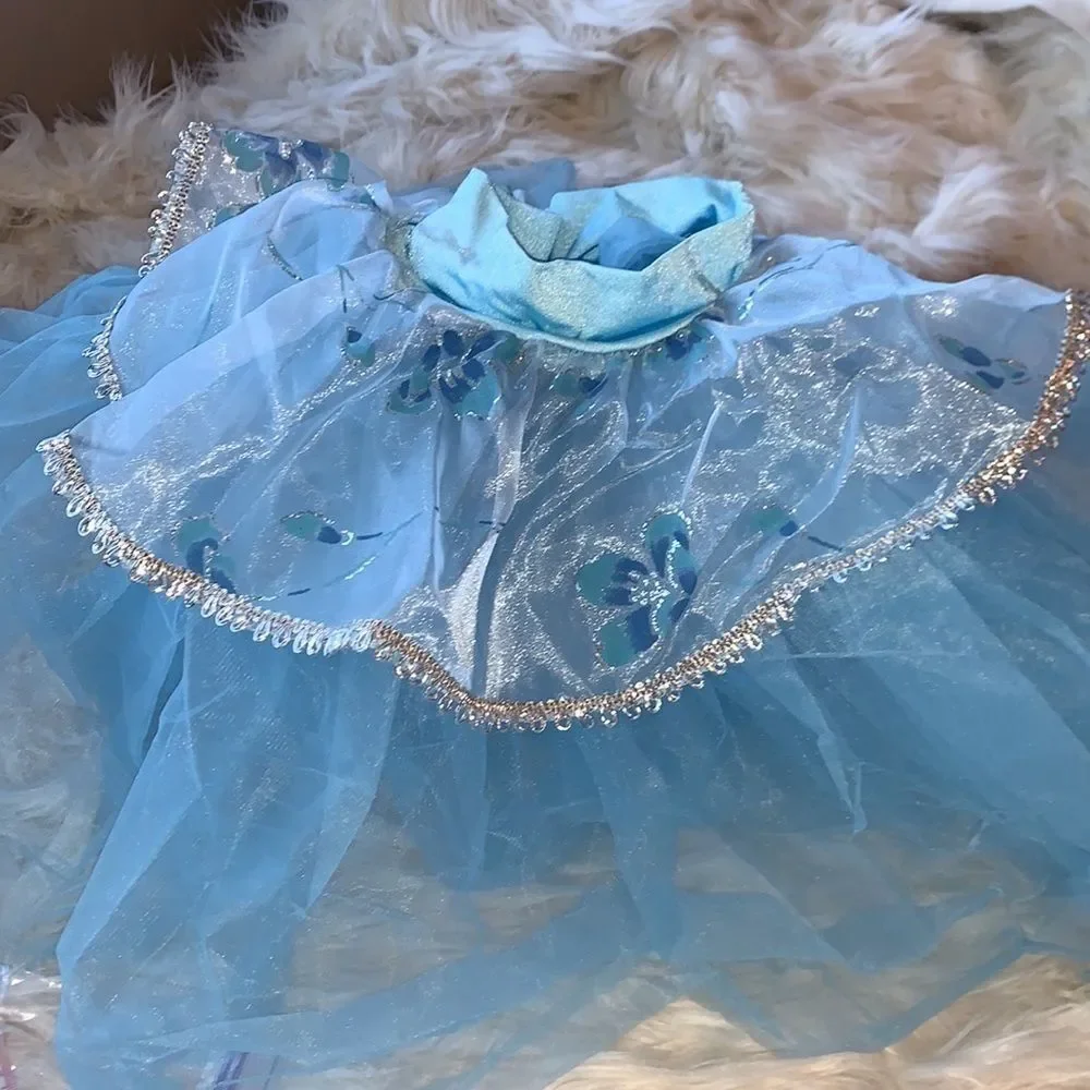 Blue and silver leotard and tulle ballet princess skirt child small halloween